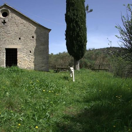 Casa Greta - Orco-Feglino Orco Feglino Exterior foto